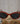 Kate Spade Sunglasses